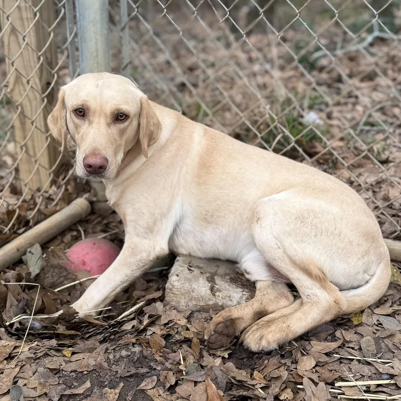 Steve Harvey thumbnail 3