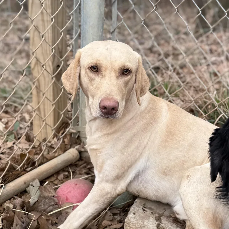 Steve Harvey thumbnail 5