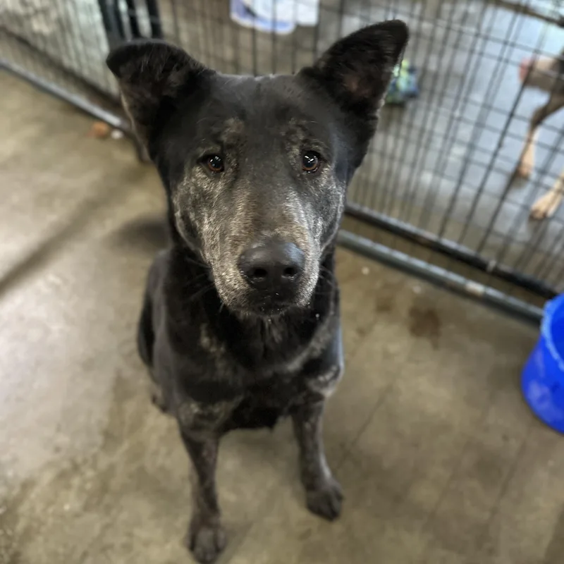 Jeremy Allen White thumbnail 4