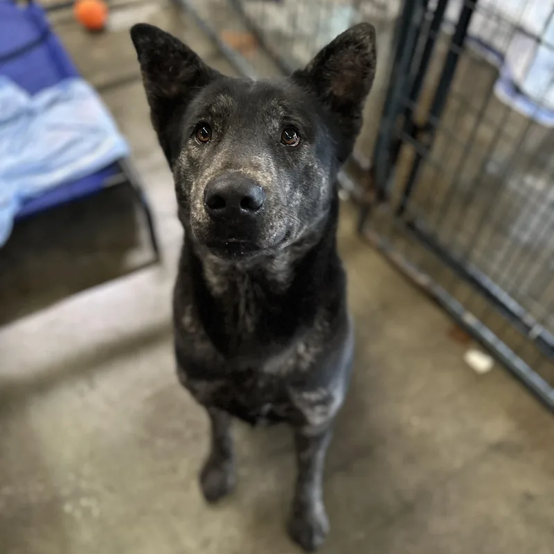 Jeremy Allen White thumbnail 5