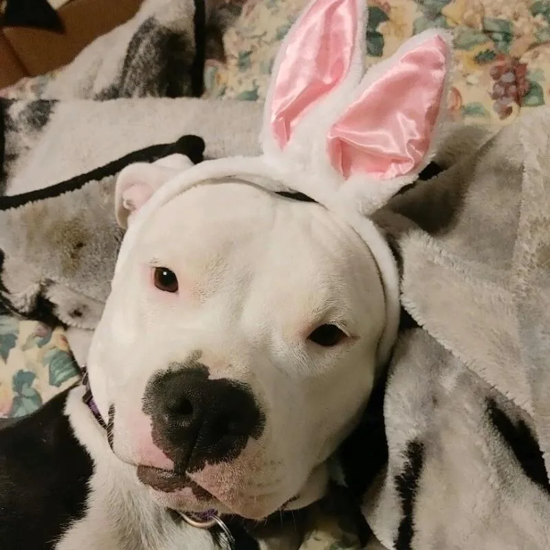 Layla Dakota thumbnail 6