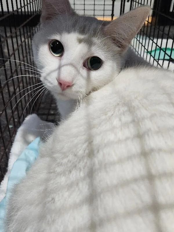 Waterford thumbnail 2