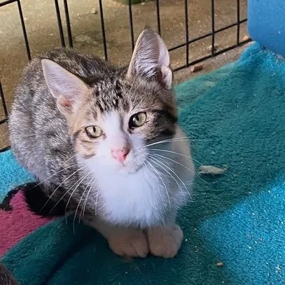 Generous thumbnail 2