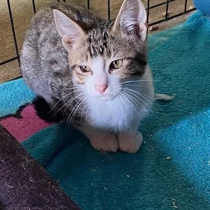 Generous thumbnail 3