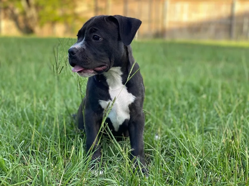 Jessa Fka Gretchen thumbnail 2