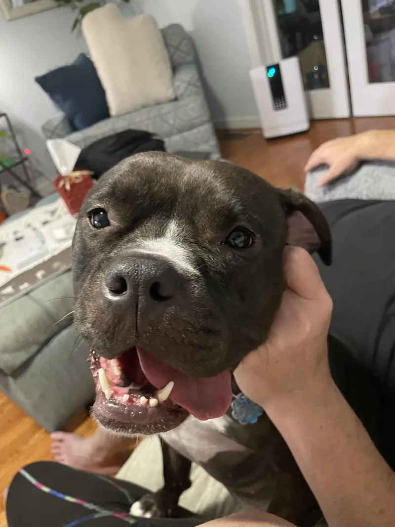 Jessa Fka Gretchen thumbnail 4