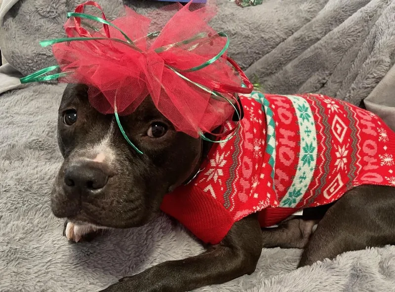 Jessa Fka Gretchen thumbnail 5