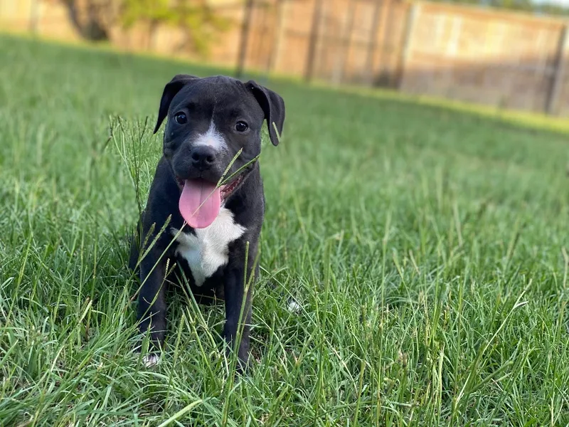 Jessa Fka Gretchen thumbnail 6