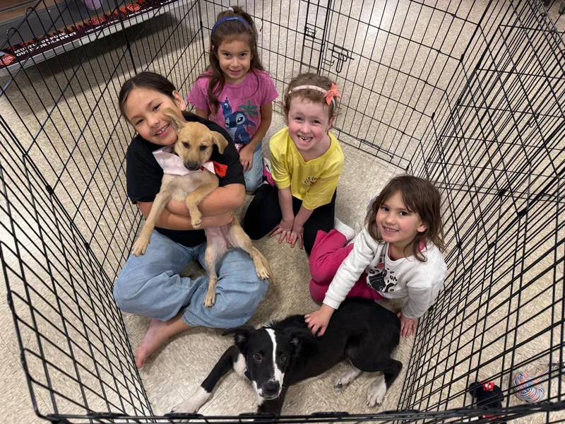 Oreo  Great Wkids! thumbnail 3