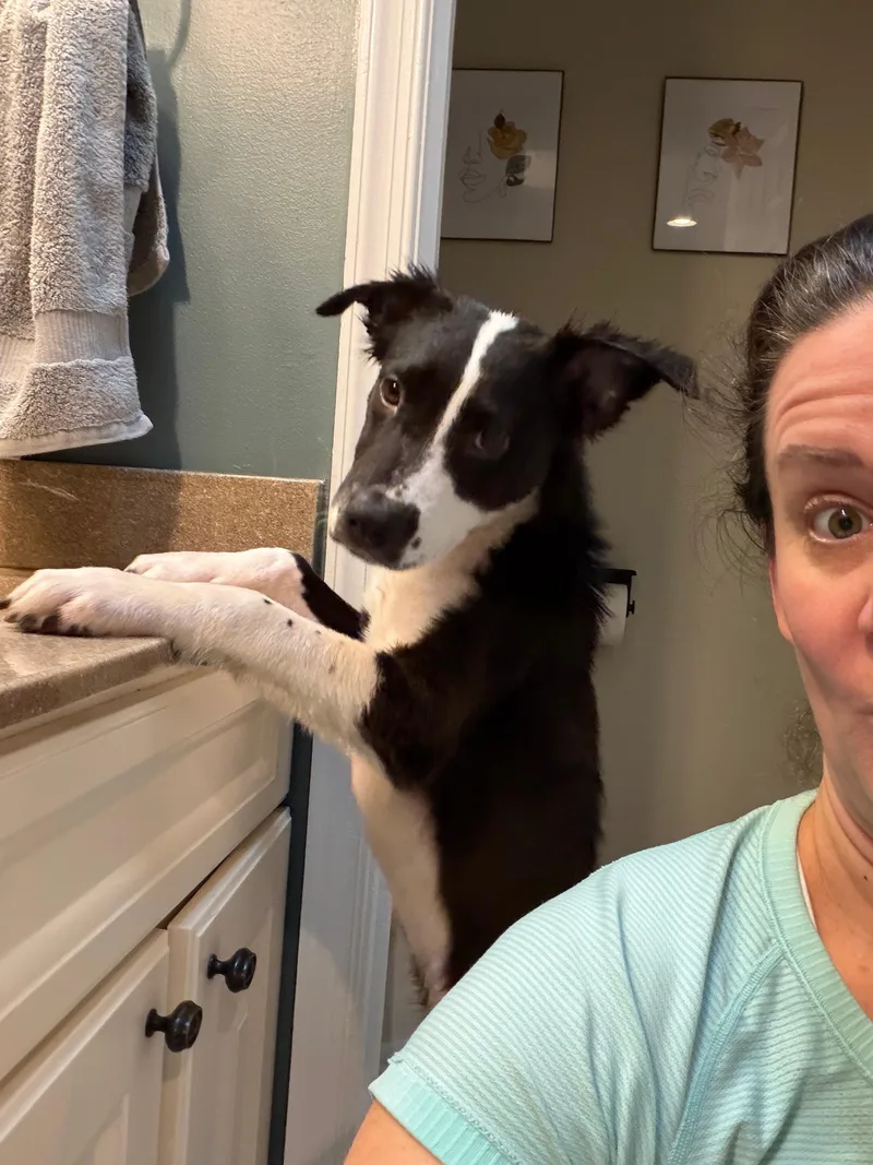 Oreo  Great Wkids! thumbnail 5