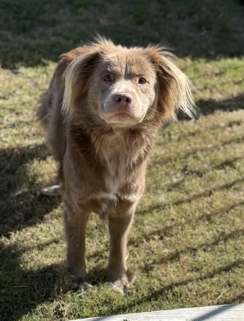 Charlotte thumbnail 2