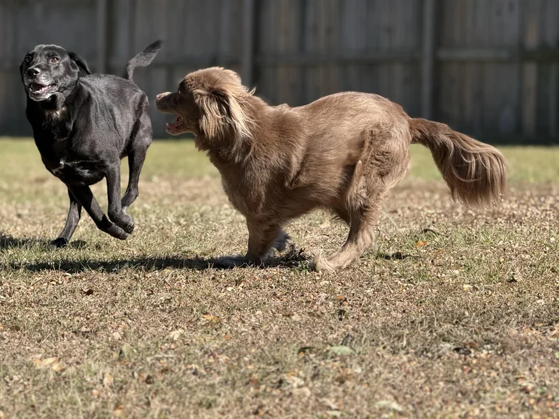 Charlotte thumbnail 3