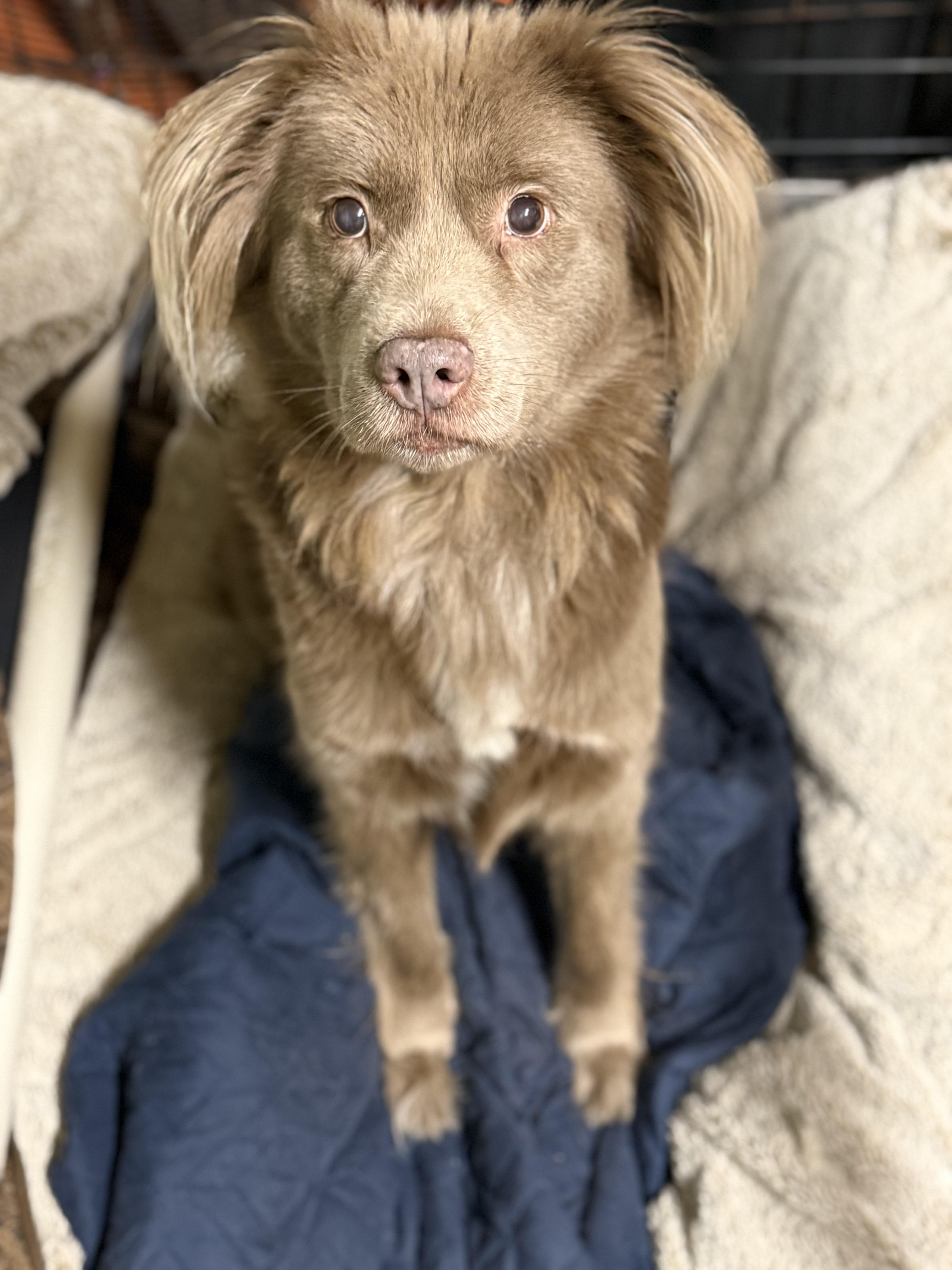 Charlotte thumbnail 4