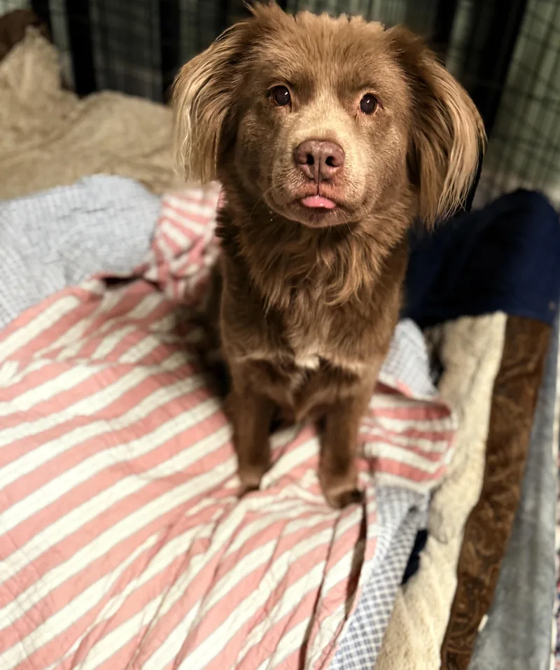 Charlotte thumbnail 5