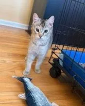 Lindseydc thumbnail 2