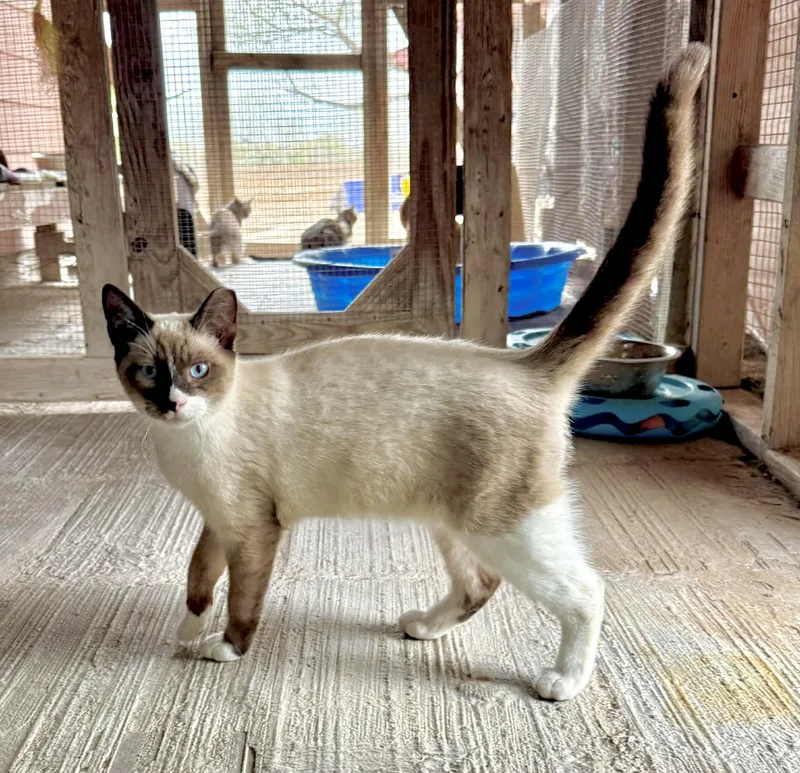 Cooper & Sparrow thumbnail 2