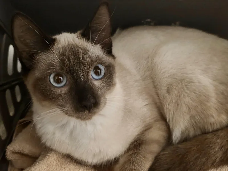 Cooper & Sparrow thumbnail 3