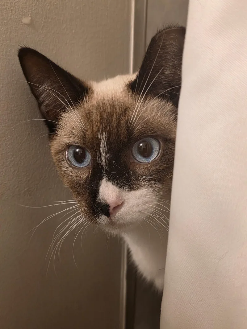 Cooper & Sparrow thumbnail 5