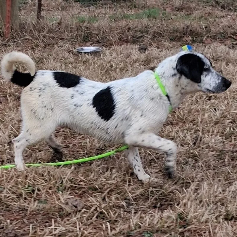 Stacy  Meet ! thumbnail 2