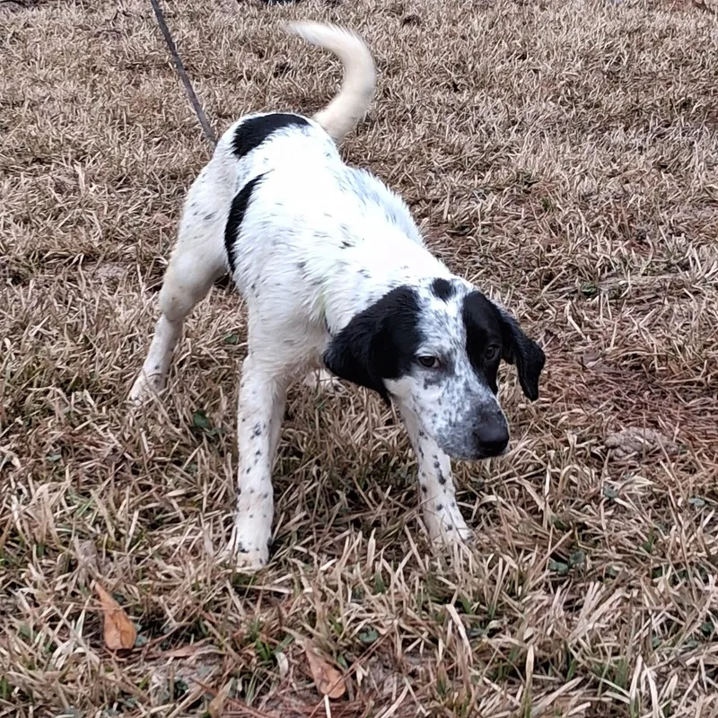 Stacy  Meet ! thumbnail 3