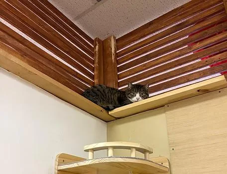 Howard Hughes And Bette thumbnail 2