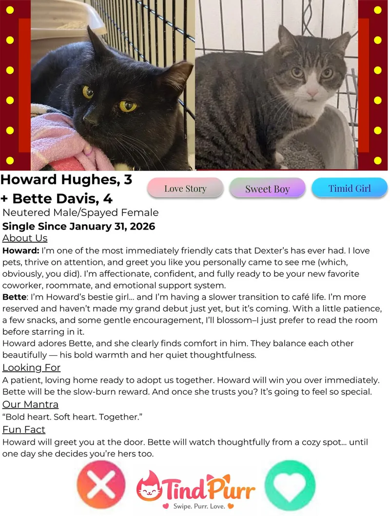 Howard Hughes And Bette thumbnail 3