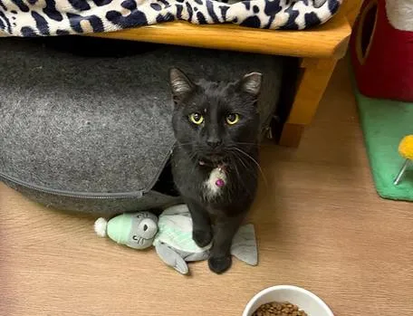 Howard Hughes And Bette