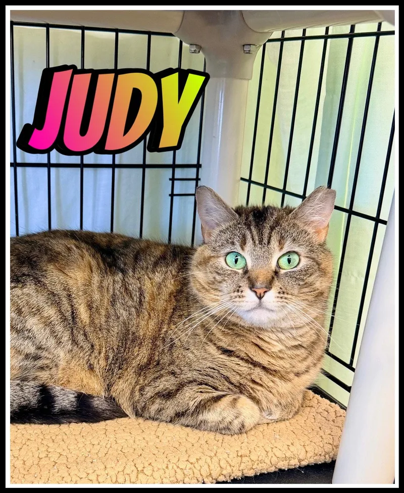 Judywillow Grove thumbnail 2