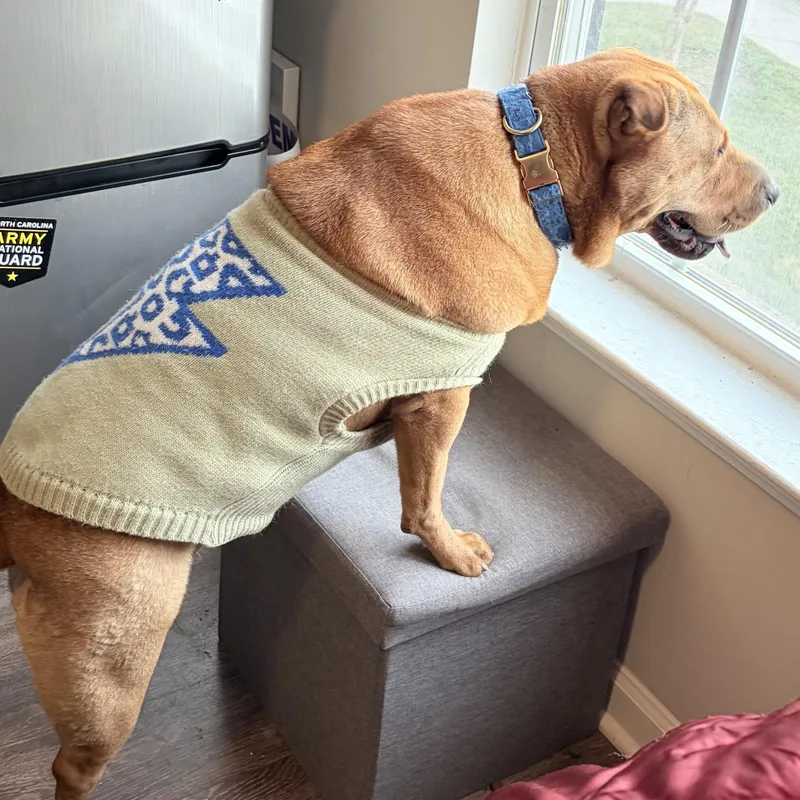 Honey Bunz thumbnail 3