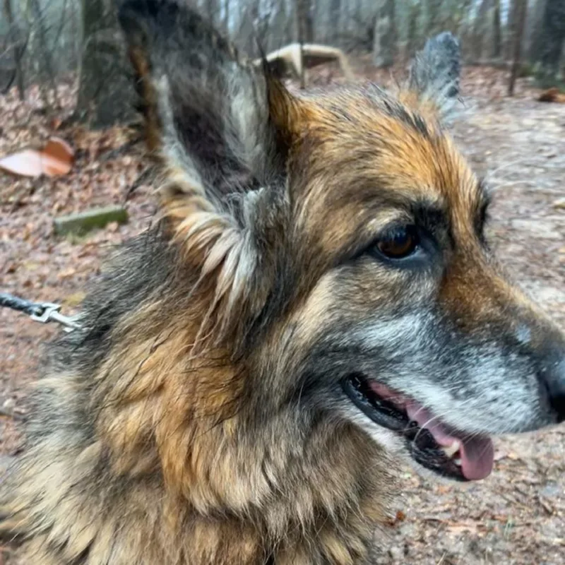 Juliette thumbnail 2