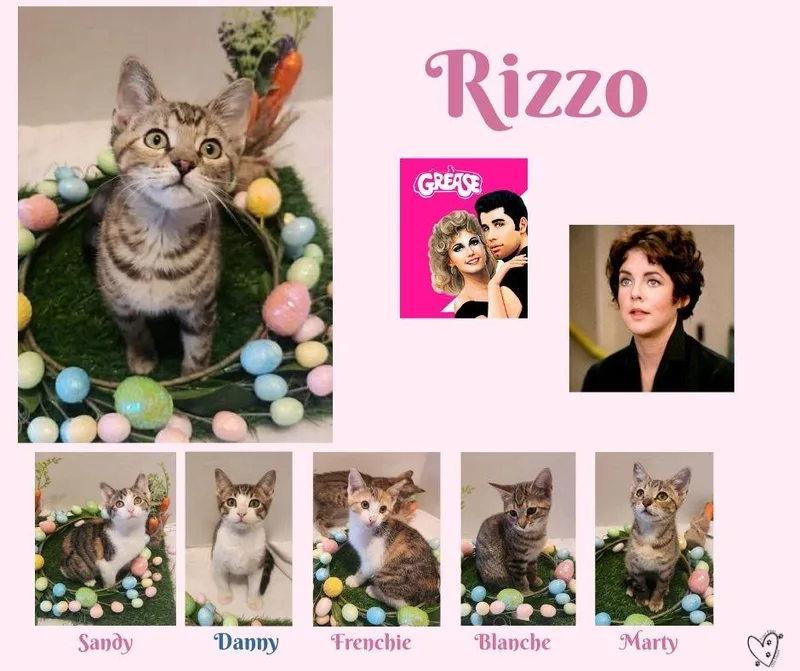 Rizzo thumbnail 3