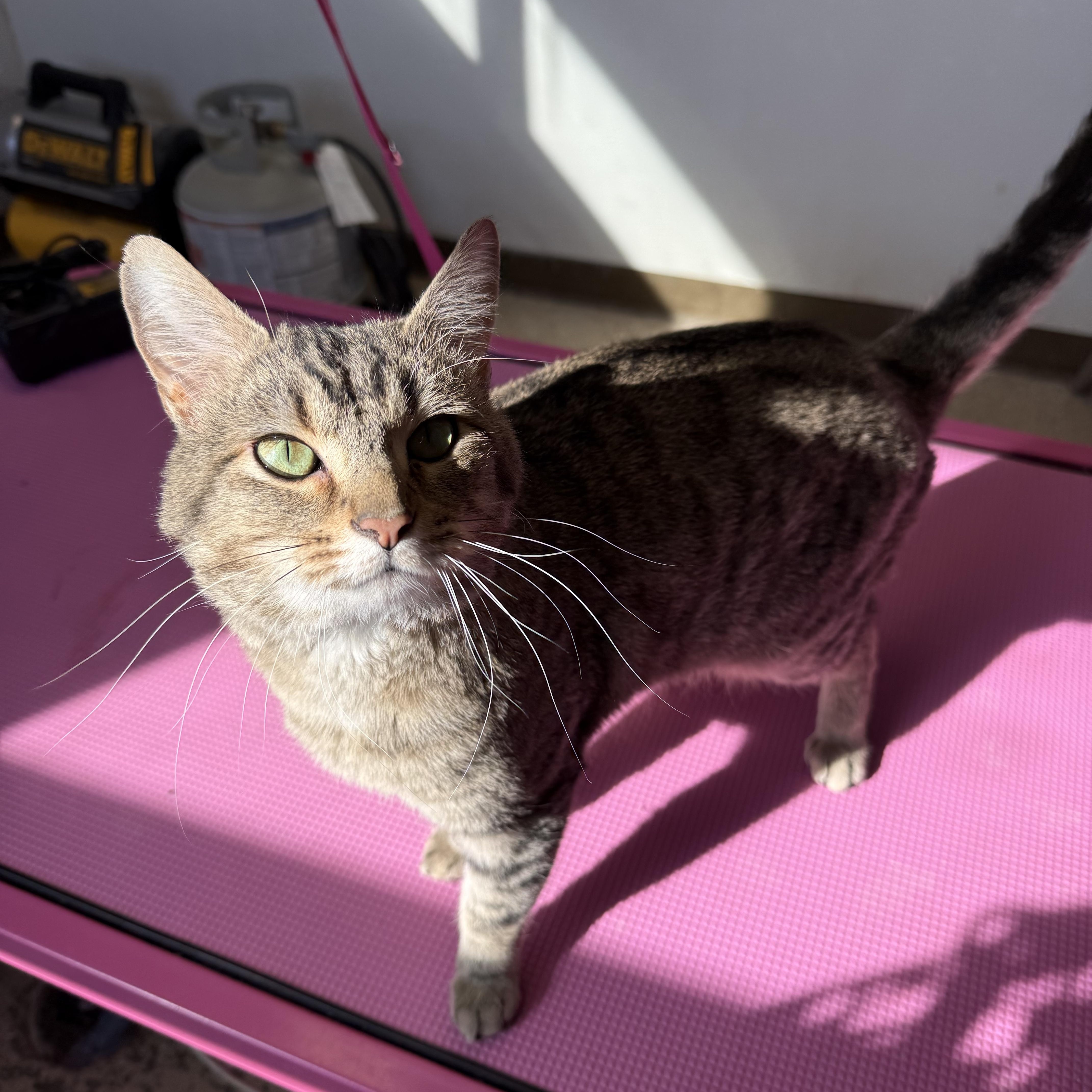 Cousin Eddie thumbnail 2