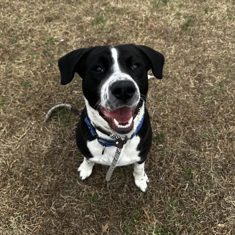 Moose Track thumbnail 5