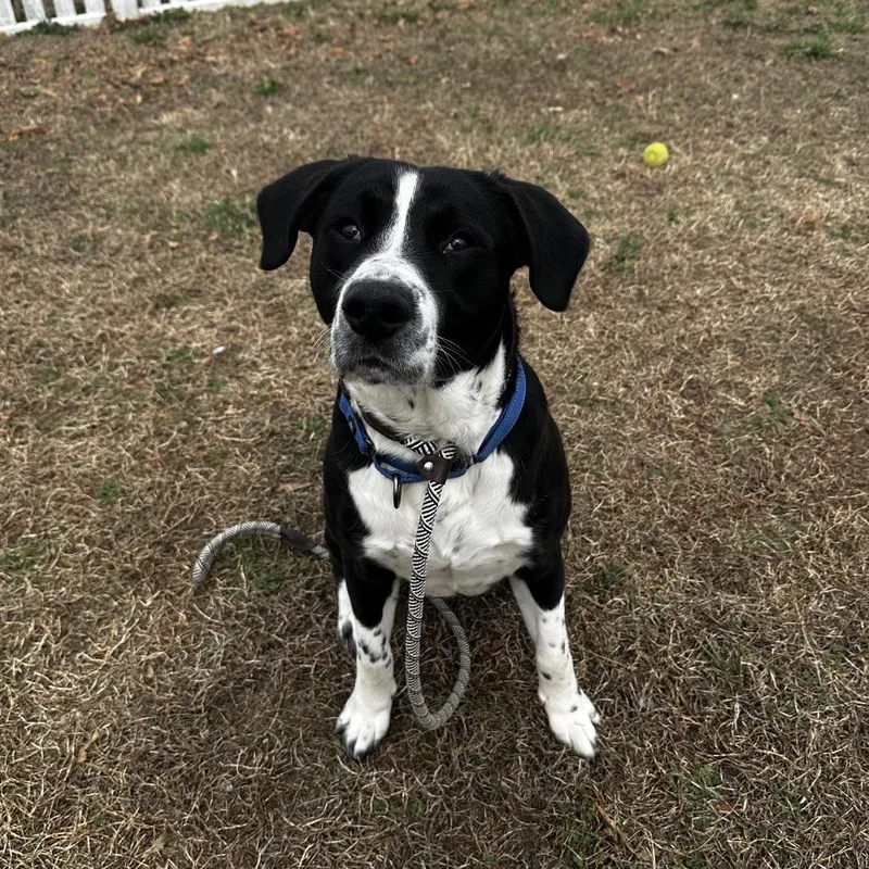 Moose Track thumbnail 6