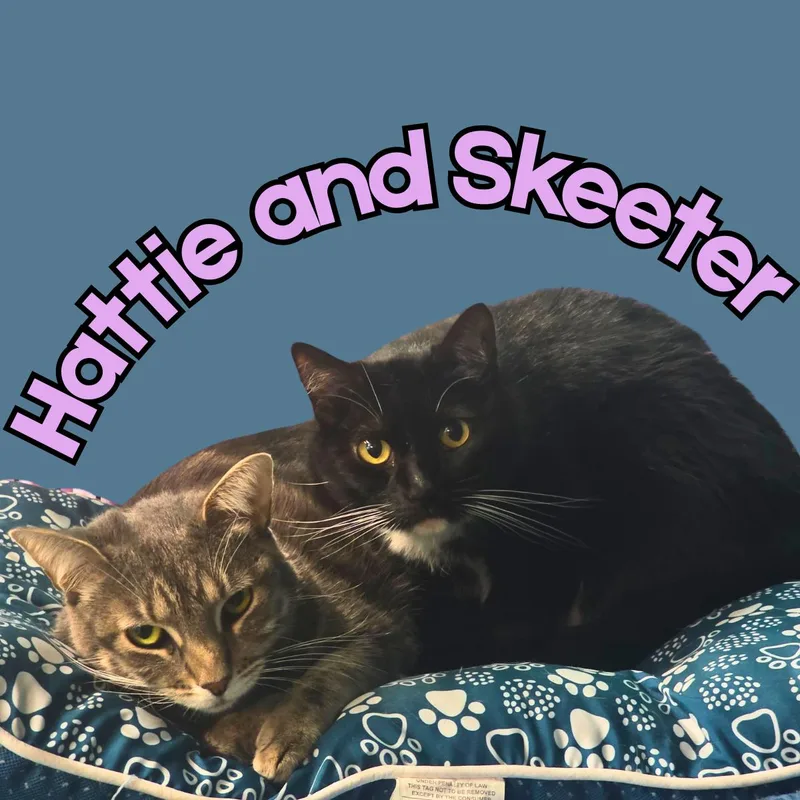 Hattie And Skeeter