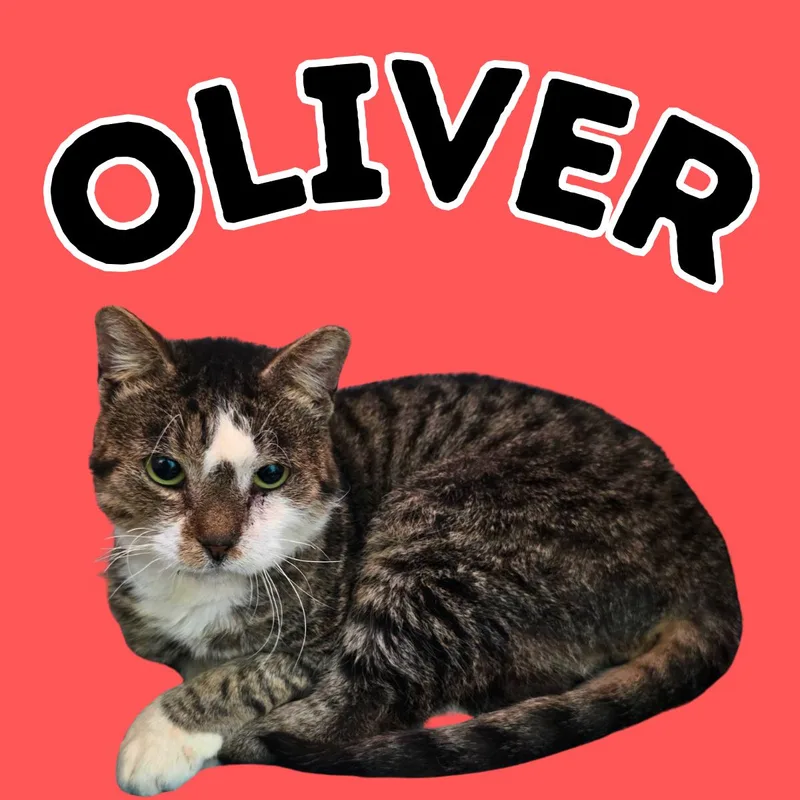 Oliver