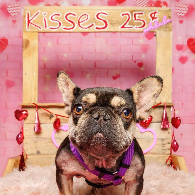 Crumbles thumbnail 3