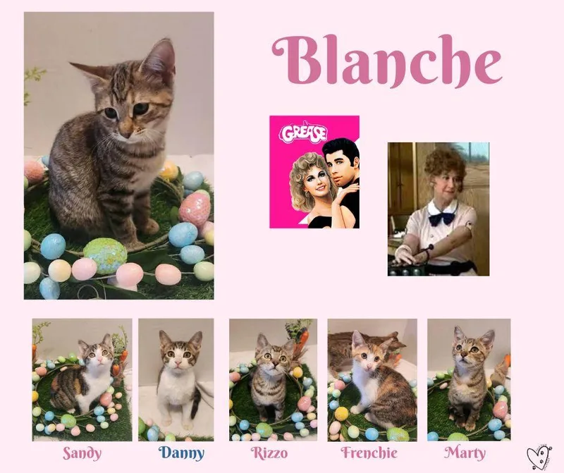 Blanche thumbnail 3