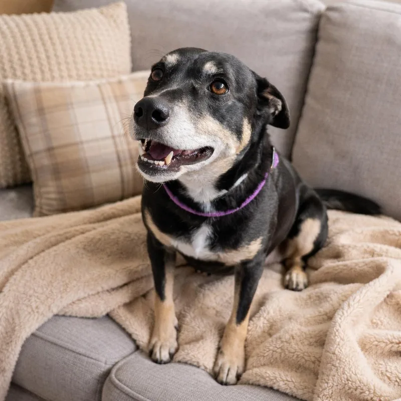 Roxyread Her Story thumbnail 4