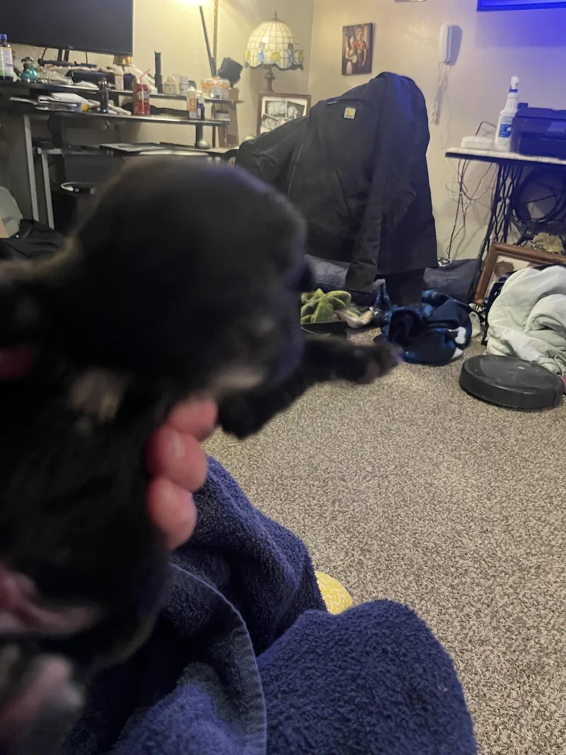 Benson Fka Baby Delta thumbnail 6