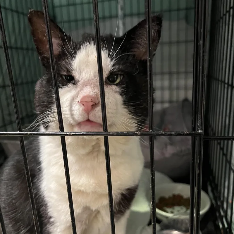 Big Head thumbnail 2