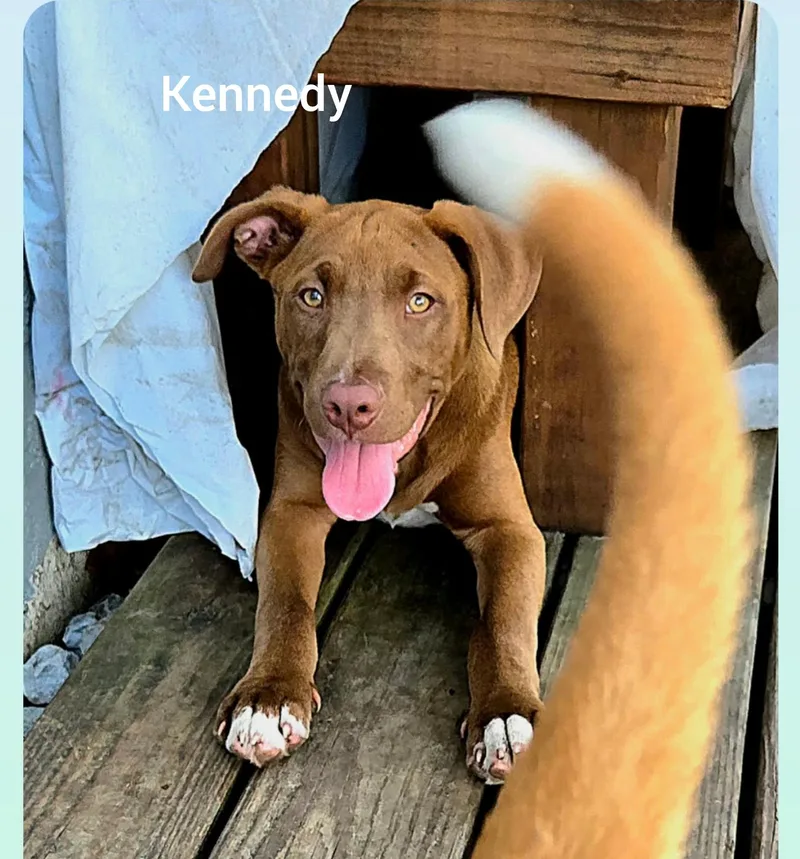 Kennedyorlando Fl thumbnail 2