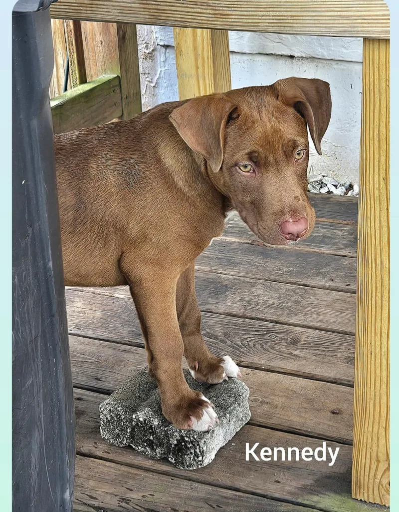 Kennedyorlando Fl thumbnail 3