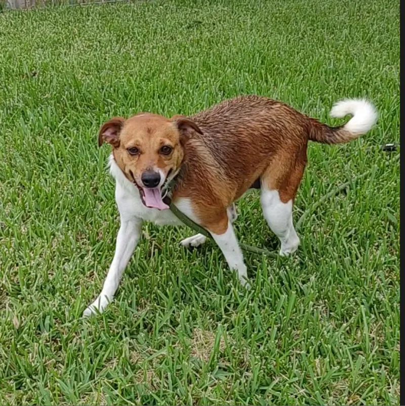 Ginger & Mary Ann thumbnail 3