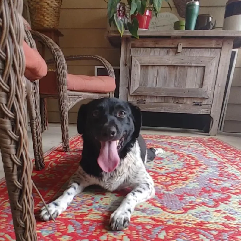 Mary Ann & Ginger thumbnail 5