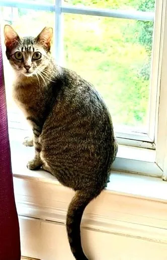 Squeaky Bonded With Tiny thumbnail 2