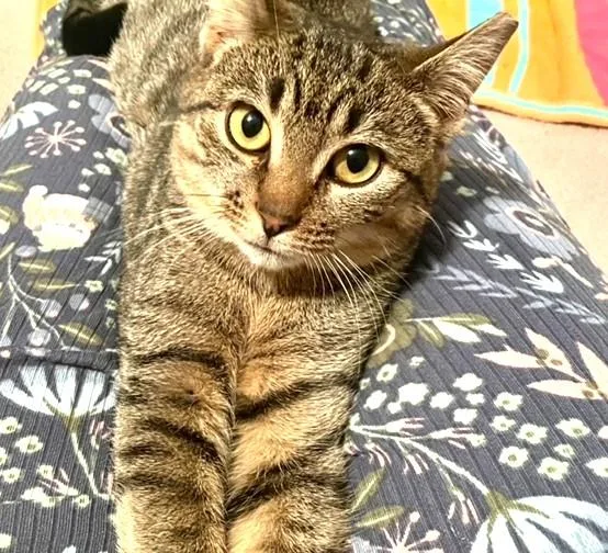 Squeaky Bonded With Tiny thumbnail 4