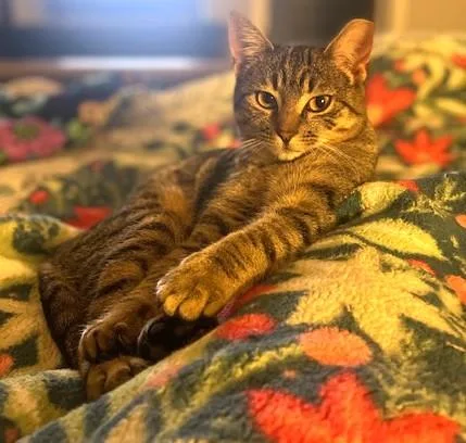 Squeaky Bonded With Tiny thumbnail 5