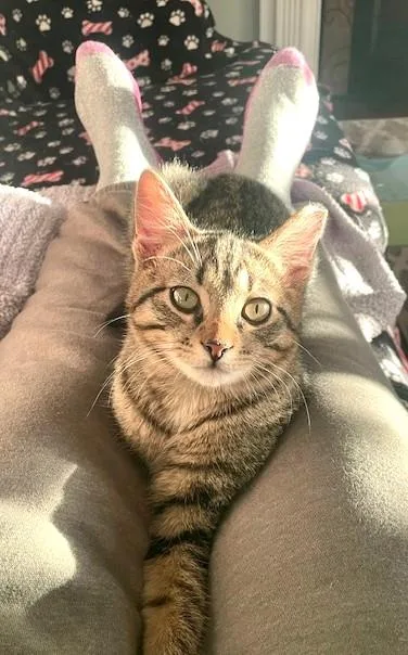 Tiny Bonded With Squeaky thumbnail 3