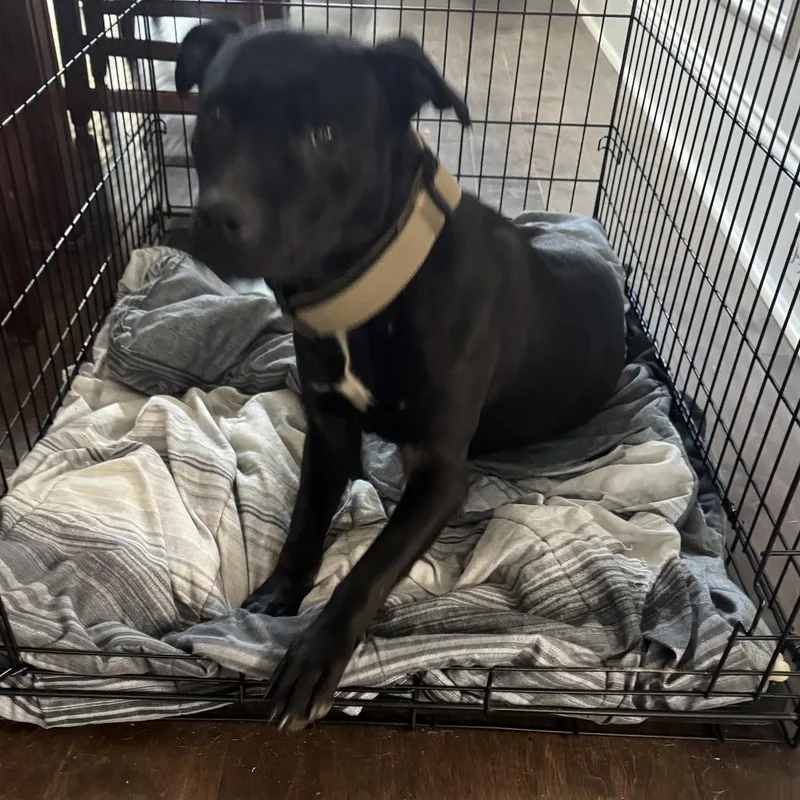 Guinness thumbnail 2